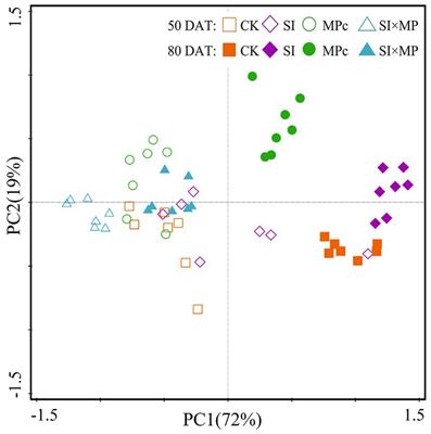 The effect of soil microplastics on Oryza sativa L. root growth traits under alien plant invasion